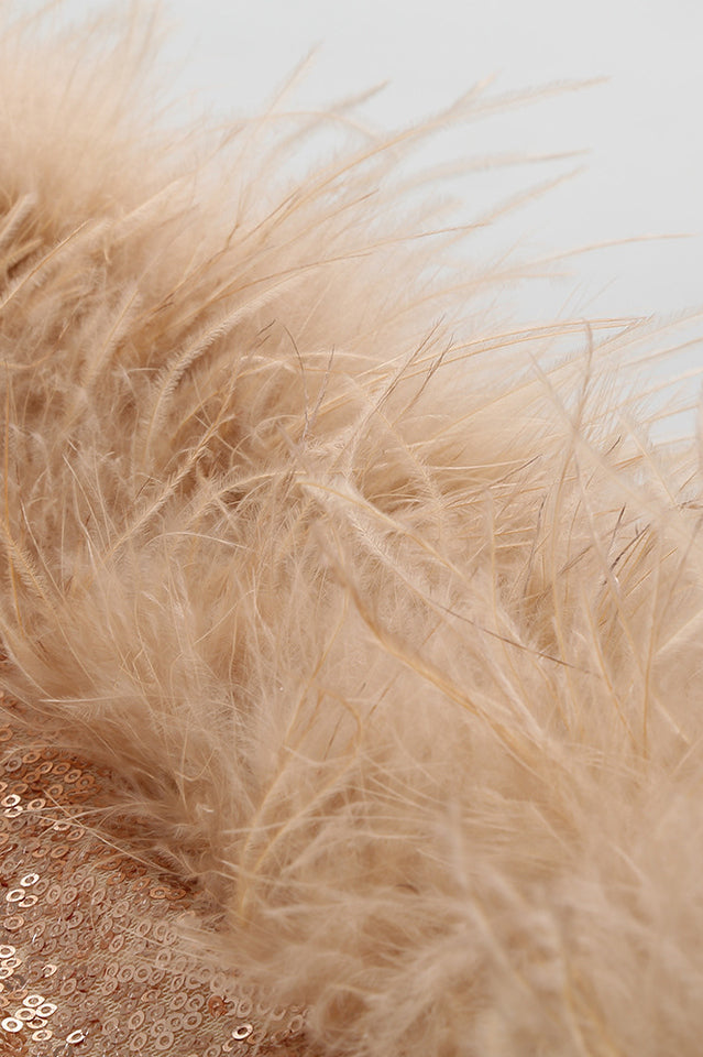 Aurora | Sequin Embellished Mini Dress